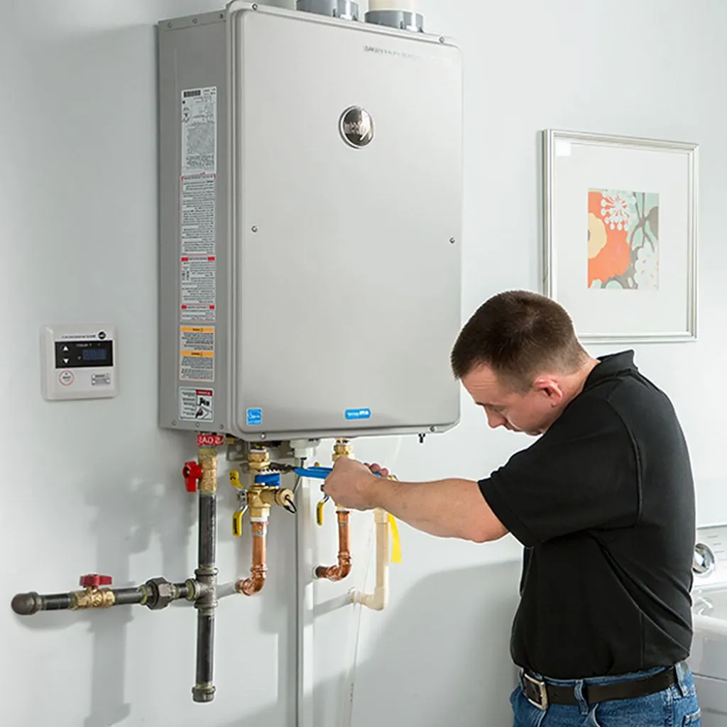 tankless water heater repair in Wapella, IL